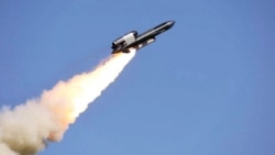 В Дании строят завод по производству топлива для украинских крылатых ракет