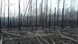 Пожары в чернобыльской зоне отчуждения почти потушены