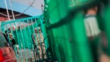 Настоящее Время. Азия – 28 октября