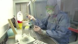 Новости. Коротко