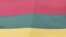 Lithuania -- People carry about 200 meter long sash in Lithuanian flag colours during Day of the Defenders of Freedom celebration in Vilnius, 13Jan2011