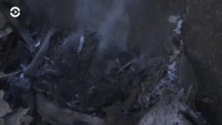 Новости. Коротко