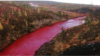 "Норникель" окрасил реку в красный цвет 
