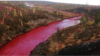 "Норникель" объяснил окрашивание реки в ярко-красный цвет утечкой из хвостохранилища