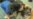 16x9 Image