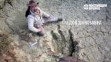 На юге Боливии нашли след гигантского динозавра