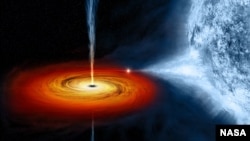 Черная дыра Cygnus X-1, сформировавшаяся рядом с голубым гигантом