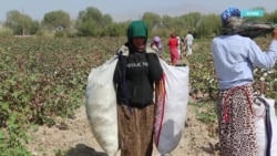 Почему женщины в Таджикистане не могут найти работу