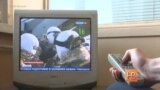 "Установлено: ненависть, подстрекательство к войне"
