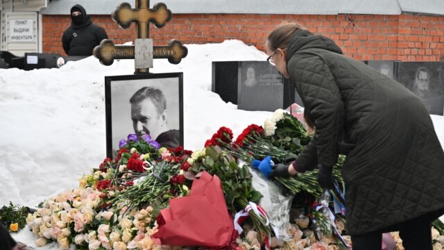 Экс-депутат Госдумы России Дмитрий Гудков  – об убийстве Навального ядом южноамериканской лягушки