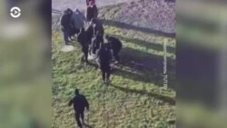 Новости. Коротко