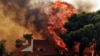 Число погибших в лесных пожарах в Греции возросло до 80 