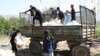 Cotton-picking campaign in Yovon district, south Tajikistan, 07.09.2014