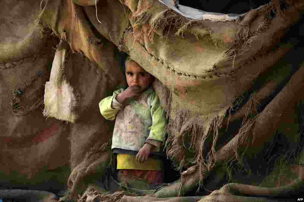 Ребенок-сириец выглядывает из палатки во временном лагере у деревни Таршан в 20 километрах на север от Ракки. Люди ищут здесь убежища от столкновений между сирийской армией и ИГИЛ (AFP/Delil Souleiman)