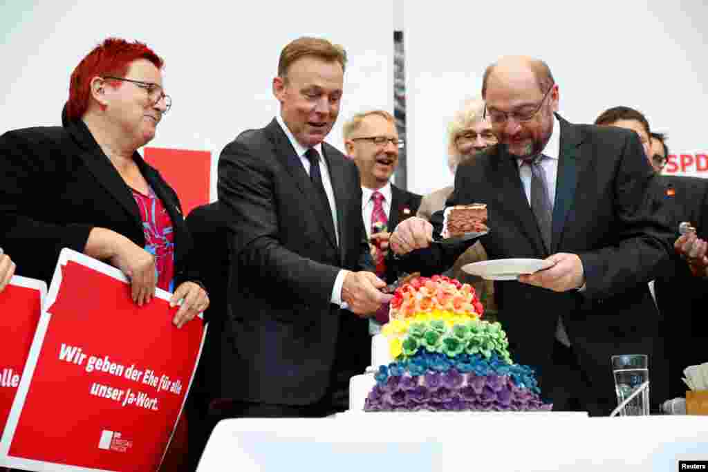 Члены&nbsp;Социал-демократической&nbsp;партии&nbsp;Германии (СДПГ)&nbsp;также съели торт после принятия закона&nbsp; 