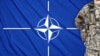 Грузия - главный партнер НАТО