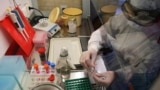 Stavropol, lab, tests, coronavirus