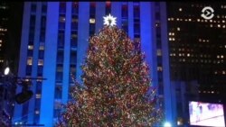 Америка: судьба Рекса Тиллерсона и главная елка Нью-Йорка