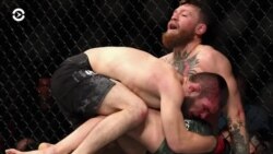 Новости. Коротко