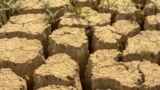 Азия: засуха и нехватка воды