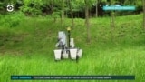 Детали: робот охотится на насекомых