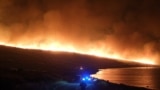 Несколько провинций Турции охвачены лесными пожарами