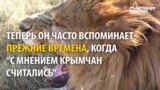 Крымский сафари-парк воюет за территорию с властями полуострова
