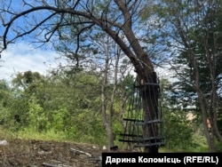 На дереве в саду киностудии имени Александра Довженко – ограждение, отброшенное взрывной волной во время российской атаки на Киев 15 июня