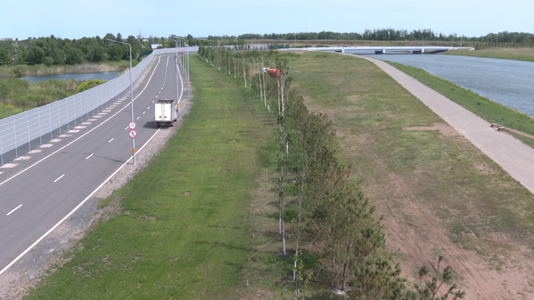 Ариана Гранде порнода Алла Юрьевнадан жыныстық анатомия сабақтары 3