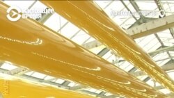 Как сделать корм для рыб из парникового газа