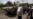 ОБСЕ: Вооружение "ДНР" охраняют российские военнослужащие