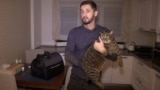 cat videograb