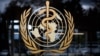 Россия пожертвует ВОЗ миллион долларов для борьбы с коронавирусом