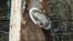 Grave History: Restoring Grozny's Christian Cemetery