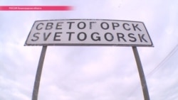 Фаллические леденцы и мироточащий Ленин: как Светогорск получил славу "города без геев"