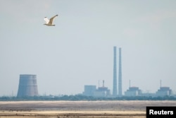 Вид на Запорожскую АЭС с берега Каховского водохранилища вблизи города Никополь после разрушения плотины в Новой Каховке, 16 июня 2023 года. Фото Reuters
