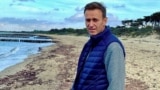 GERMANY -- Russian opposition politician Aleksei Navalny poses for a picture in an unknown location, in this undated image obtained from social media October 11, 2020