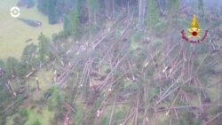 Новости. Коротко