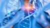 Геном нараспашку: в чем риски ДНК-тестов и зачем властям защищать генетические данные россиян