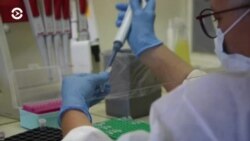 Новости. Коротко