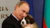Путин дал чиновникам три дня на сдачу подарков