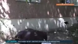 Новости. Коротко