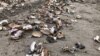 ГосСМИ называют окончательную причину экологической катастрофы на Камчатке. Соцсети продолжают расследование