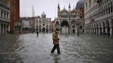 В Венеции самое сильное наводнение за последние 50 лет: погибли два человека