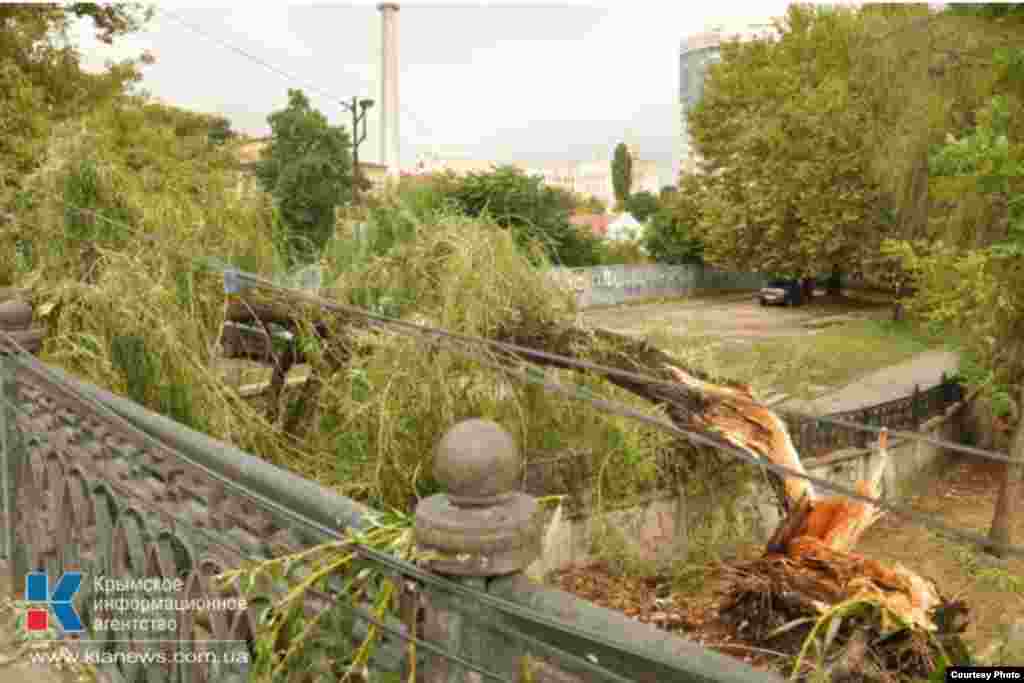 Ukraine / Crimea - the element of the storm in the Crimea, September 24, 2014