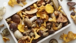 Детали: какие грибы помогают от депрессии