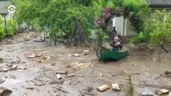 Новости. Коротко