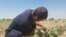 Uzbekistan_farmers