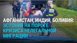Балтия: Эстония стала маршрутом трафика мигрантов из Беларуси