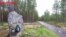 На месте массового расстрела в Сандармохе вспоминали обвиняемого в изготовлении детского порно карельского историка
